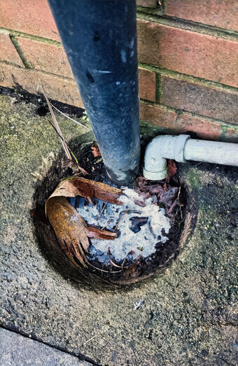 https://blockeddrainspeppermintgrove.com.au/uploads/2025/07/blocked-drains-90695.jpg