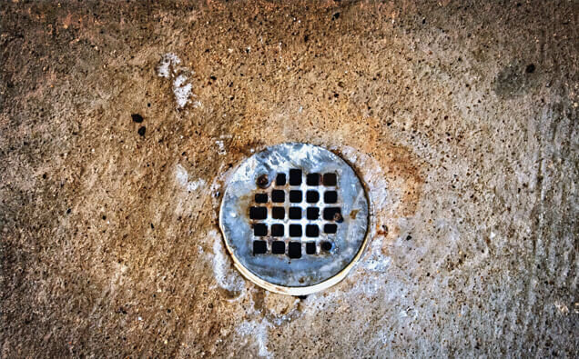 https://blockeddrainspeppermintgrove.com.au/uploads/2025/07/blocked-shower-drains-20432.jpg