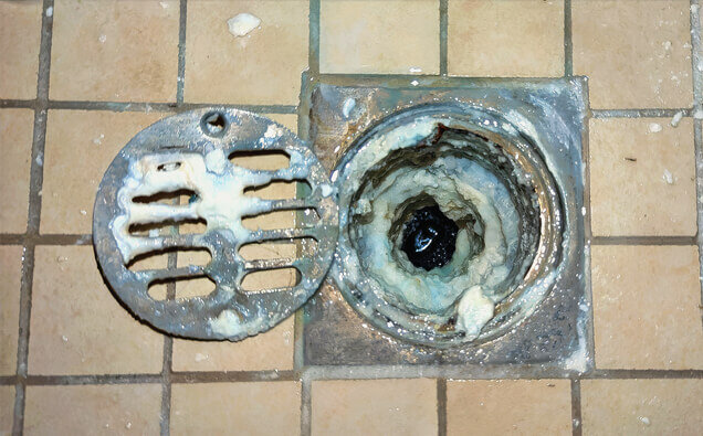 https://blockeddrainspeppermintgrove.com.au/uploads/2025/07/blocked-shower-drains-33151.jpg