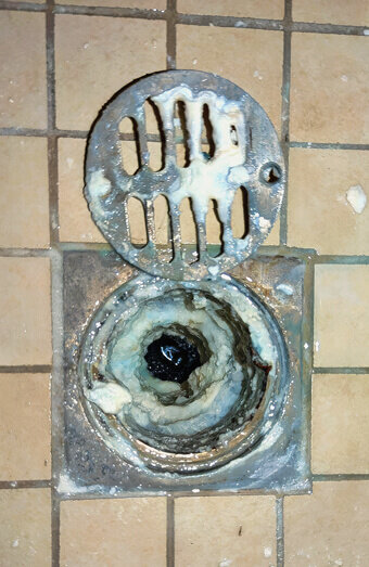 https://blockeddrainspeppermintgrove.com.au/uploads/2025/07/blocked-shower-drains-86331.jpg