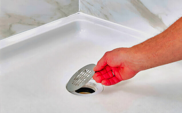 https://blockeddrainspeppermintgrove.com.au/uploads/2025/07/blocked-shower-drains-90992.jpg
