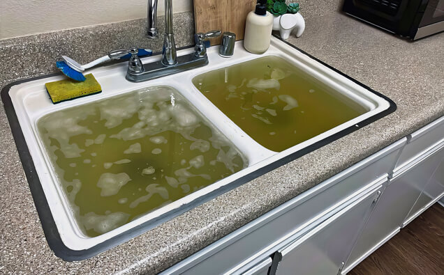 https://blockeddrainspeppermintgrove.com.au/uploads/2025/07/blocked-sink-36283.jpg