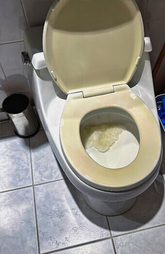 https://blockeddrainspeppermintgrove.com.au/uploads/2025/07/blocked-toilet-27293.jpg