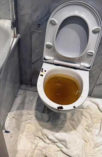 https://blockeddrainspeppermintgrove.com.au/uploads/2025/07/blocked-toilet-27793.jpg