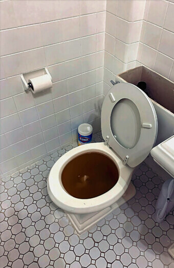 https://blockeddrainspeppermintgrove.com.au/uploads/2025/07/blocked-toilet-99184.jpg