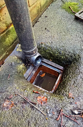 https://blockeddrainspeppermintgrove.com.au/uploads/2025/07/hero-blocked-sewers-10934.jpg