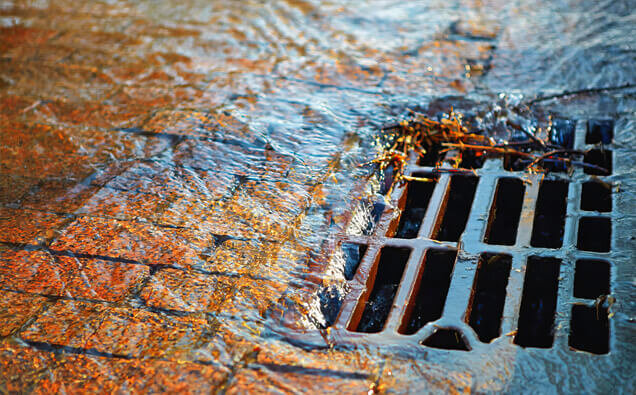 https://blockeddrainspeppermintgrove.com.au/uploads/2025/07/stormwater-drains-91028.jpg